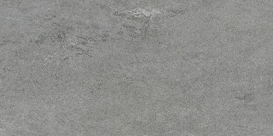 Конжак серый  - главное фото