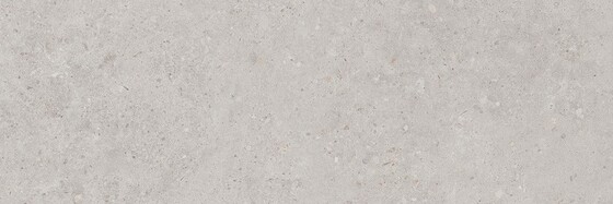 Риккарди серый светлый матовый  - главное фото
